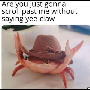 ✨Make me an offer on any item! ✨